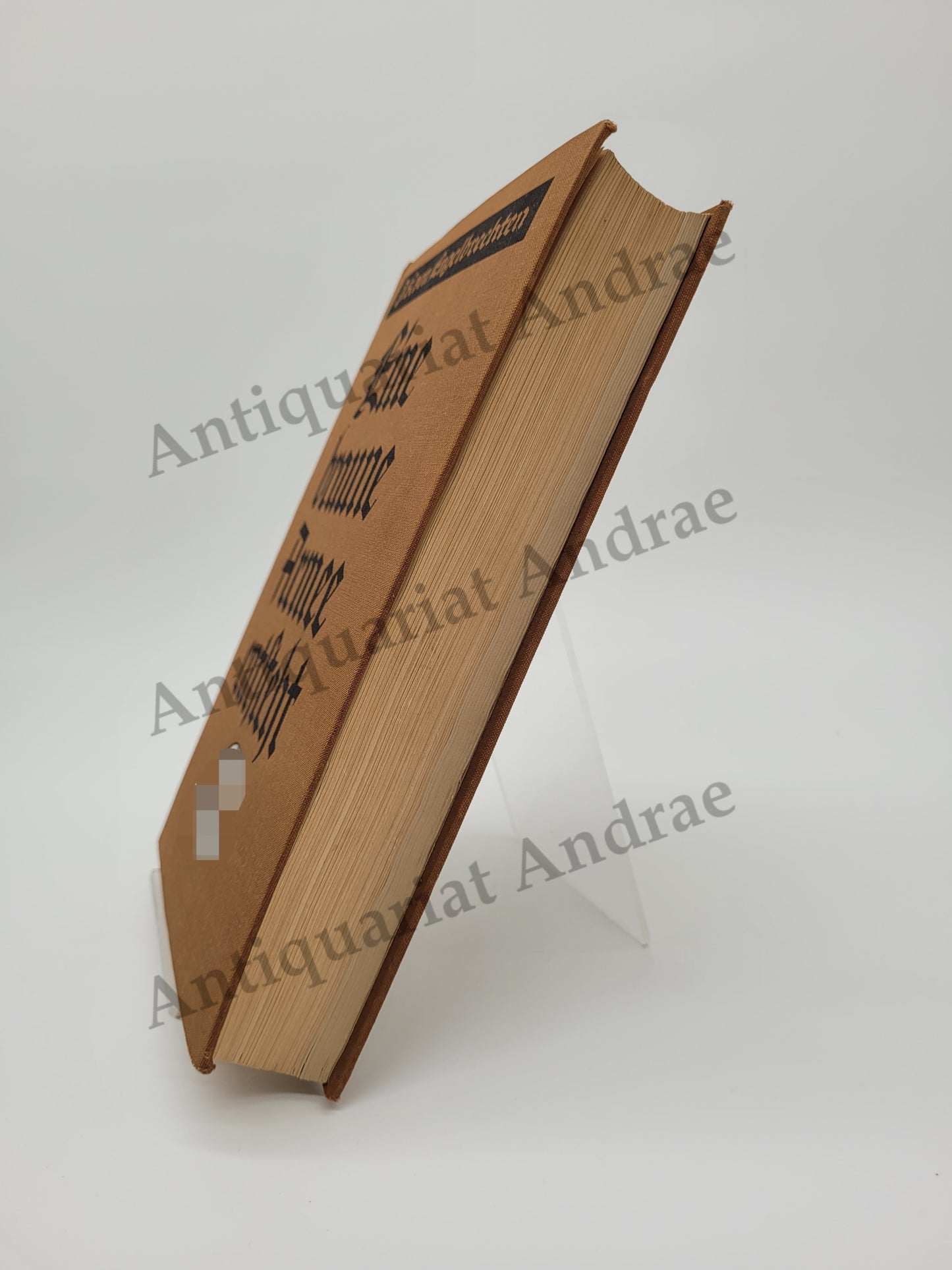 Eine braune Armee Entsteht