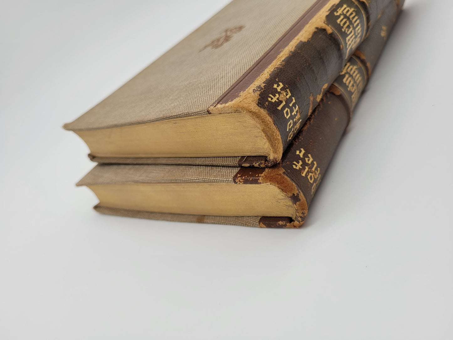 Mein Kampf Geschenkausgabe (Halbleder)