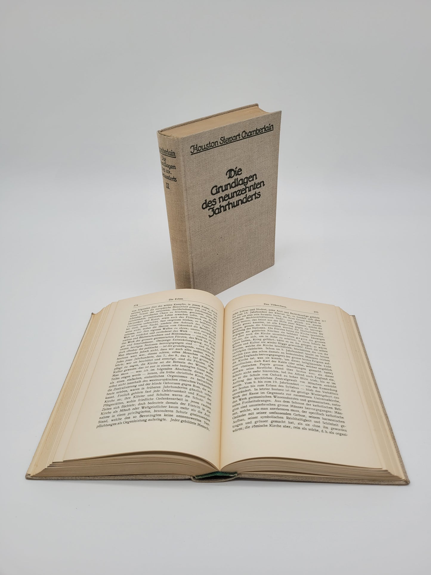 Die Grundlagen des 19. Jahrhunderts (Antisemitisch)
