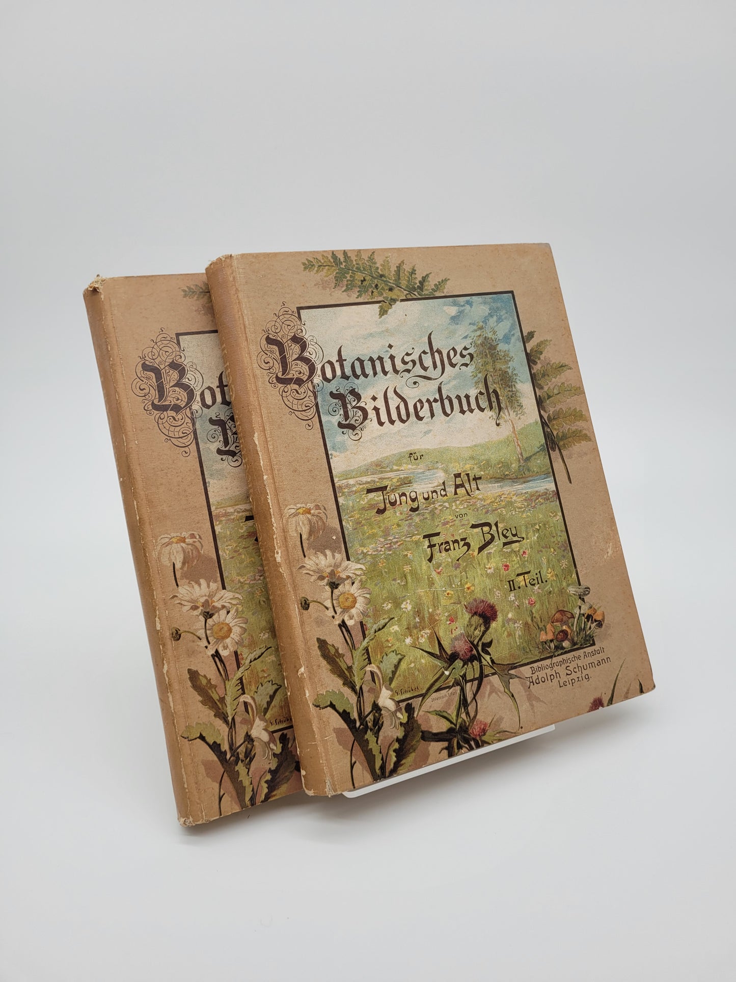 Botanisches Bilderbuch