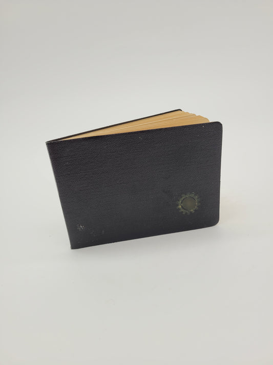 Zwölf Führerthesen (Sehr Selten)