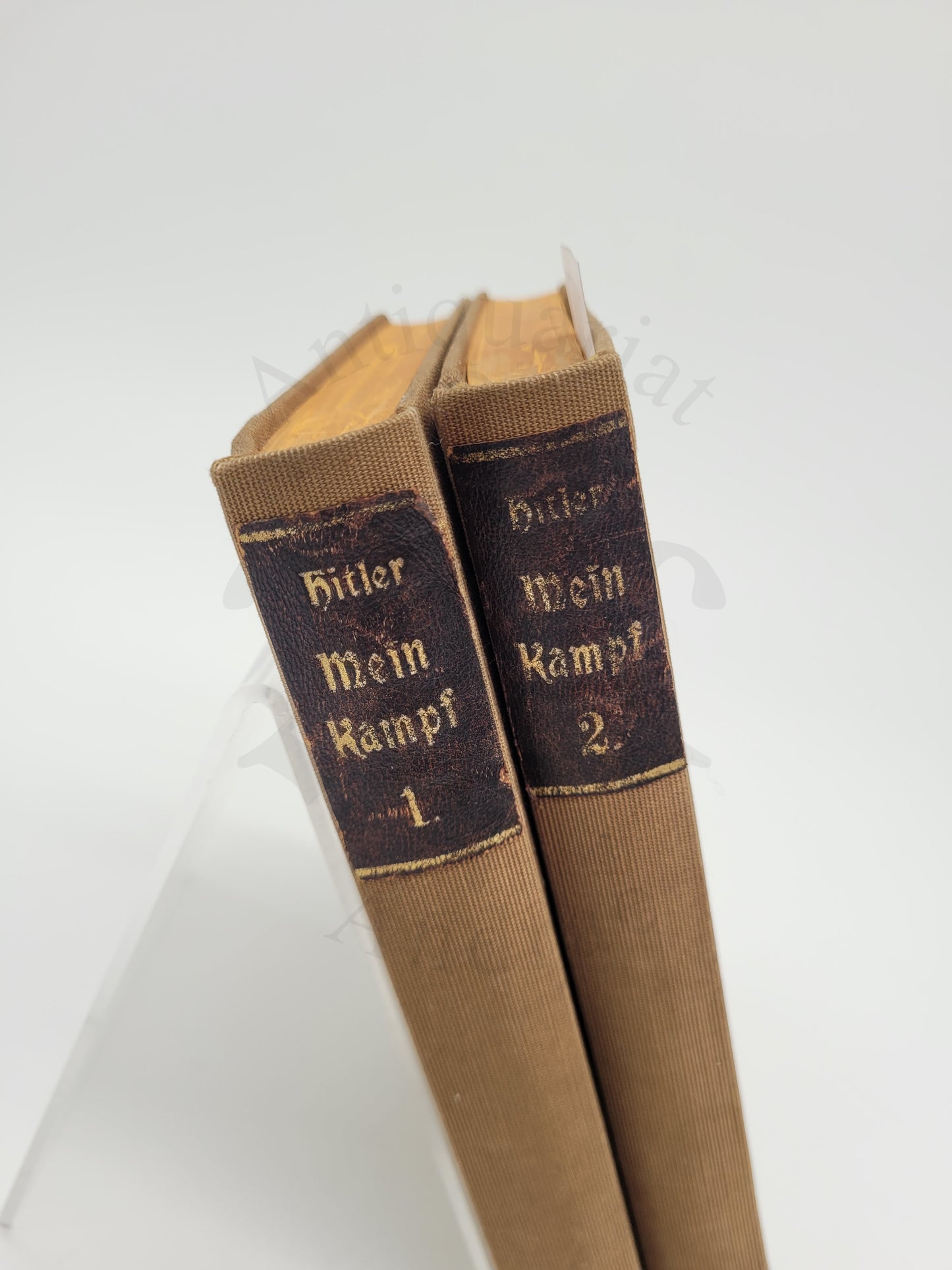 Mein Kampf Unikat-Handgebunden (2 Bände)