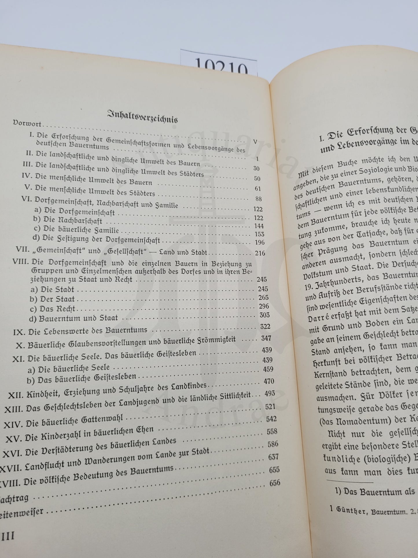 Das Bauerntum