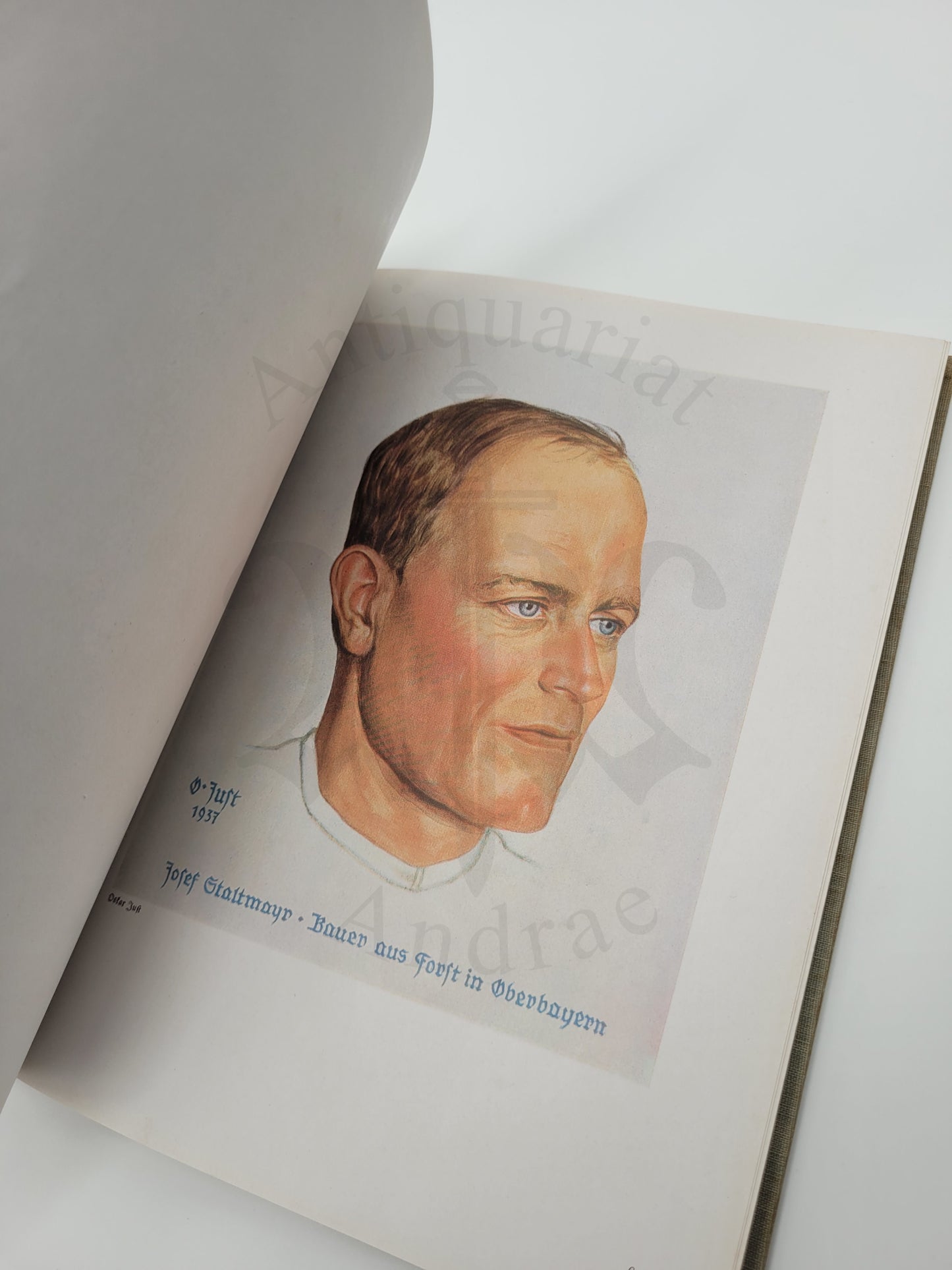 Nordisches Blutserbe im Süddeutschen Bauerntum