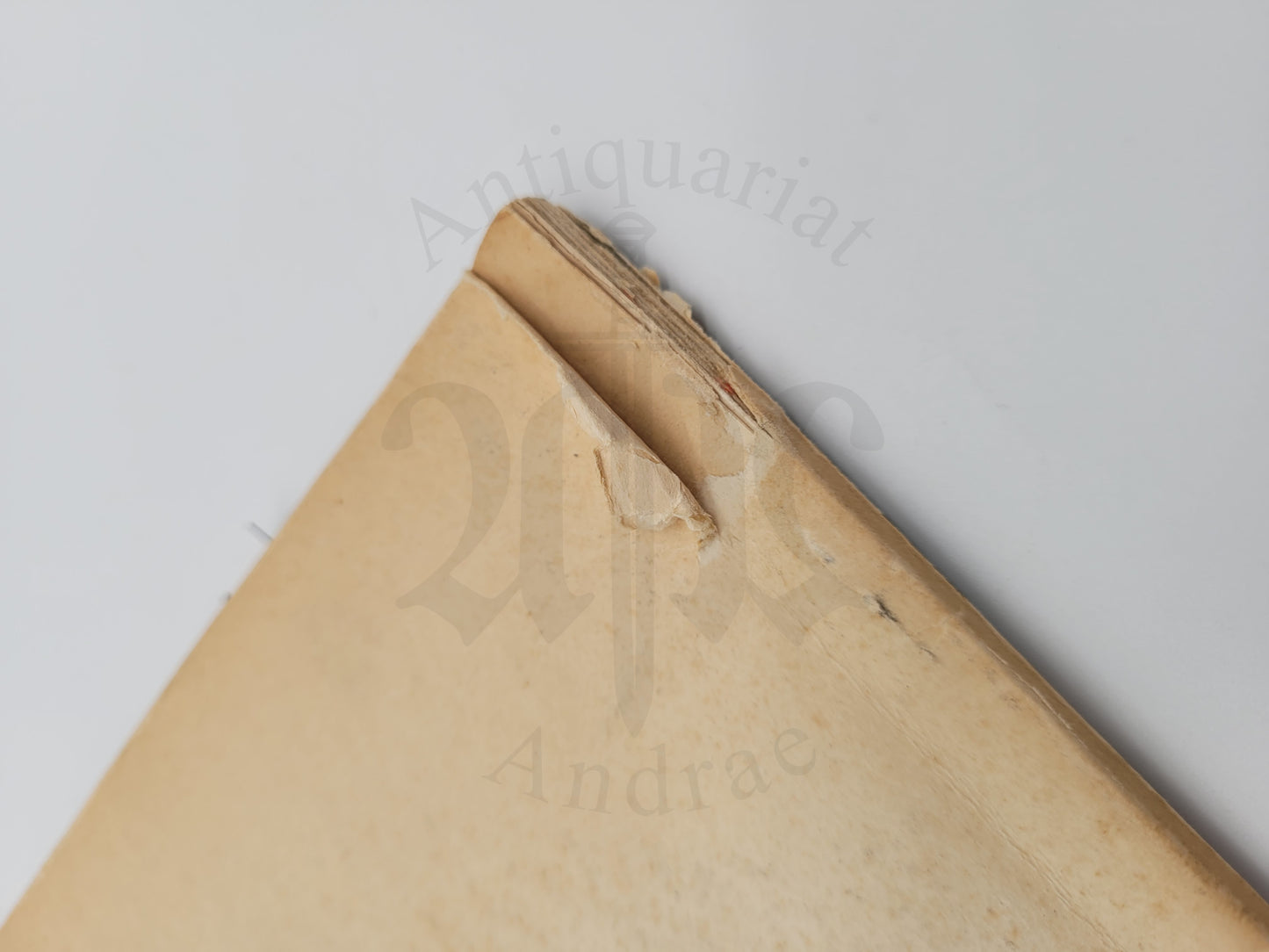 Staatsbürger man wirbt um dich