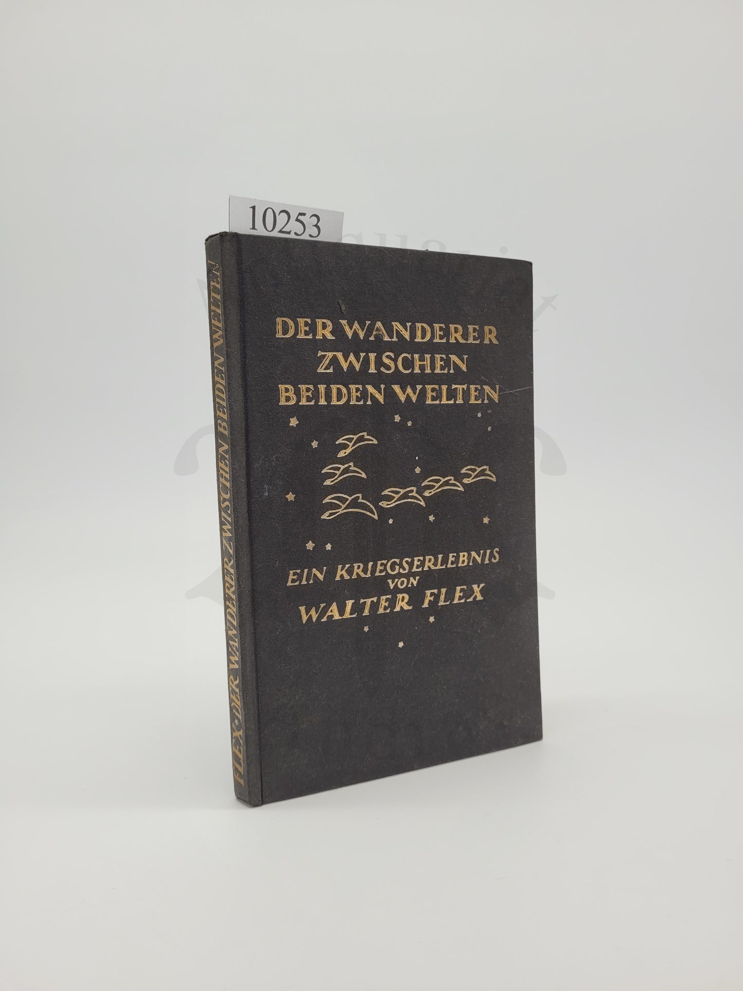 Der Wanderer zwischen beiden Welten