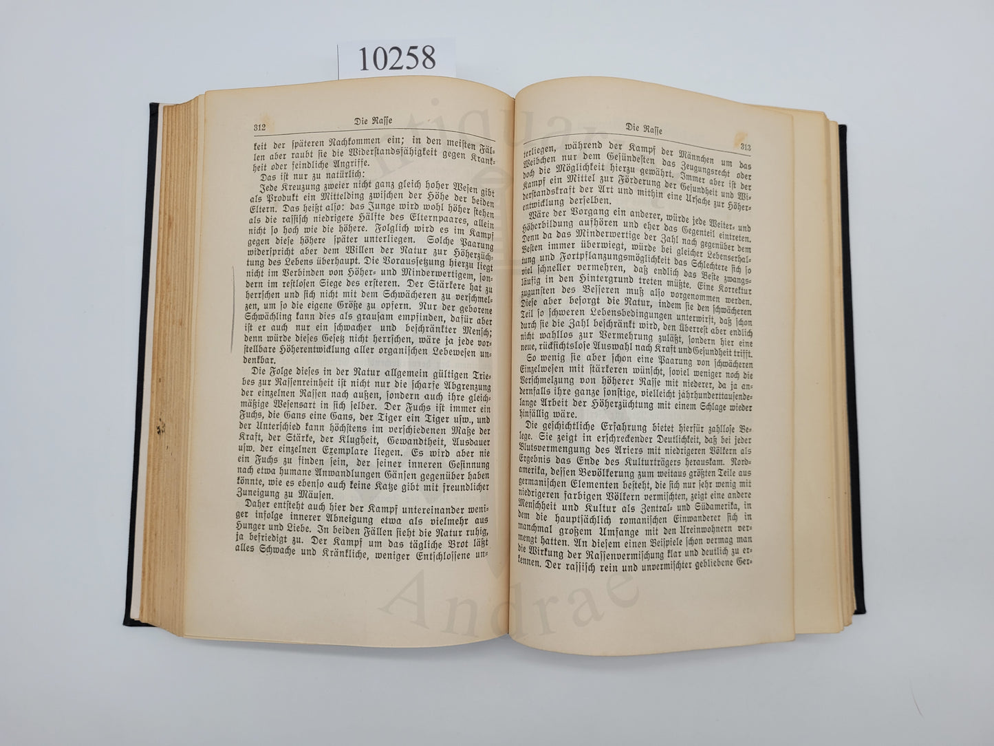 Mein Kampf Volksausgabe 1933