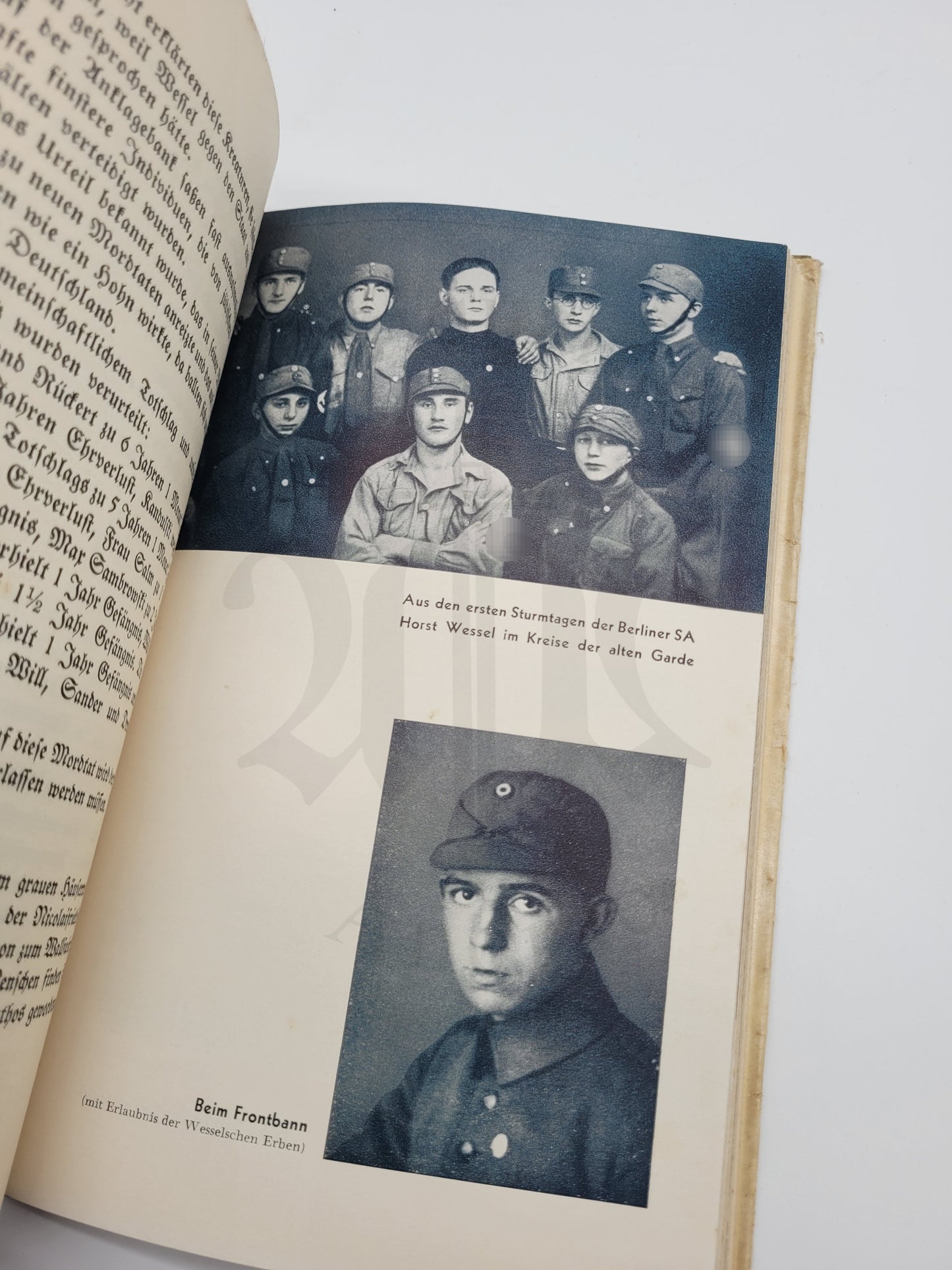 Horst Wessel- Leben und Sterben (Orig. Schutzumschlag)