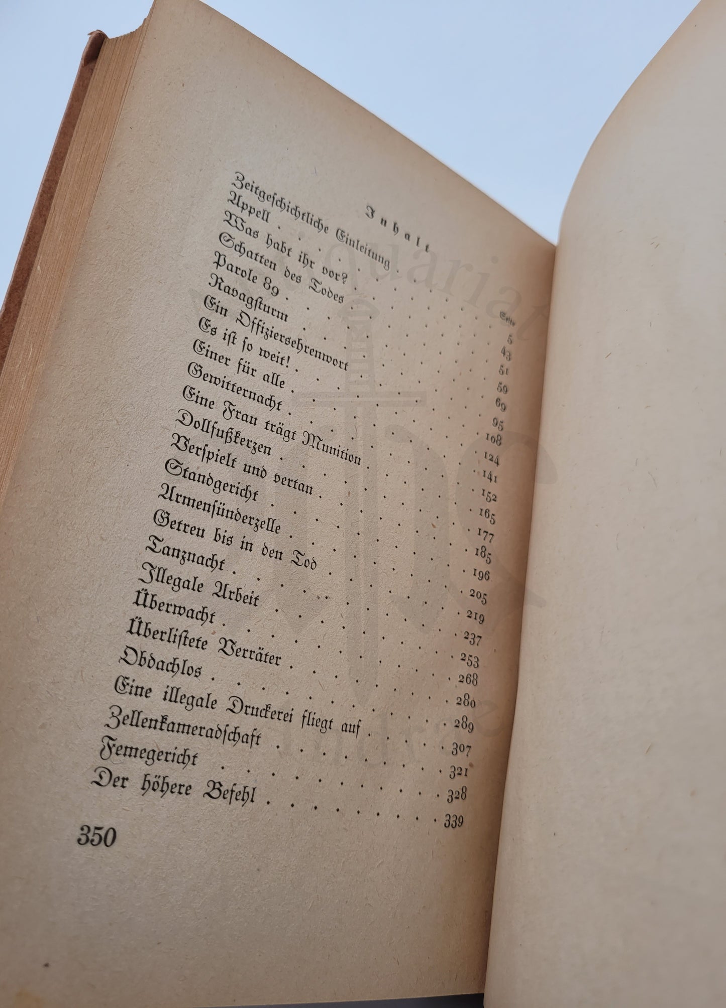 Rebellen für Deutschland