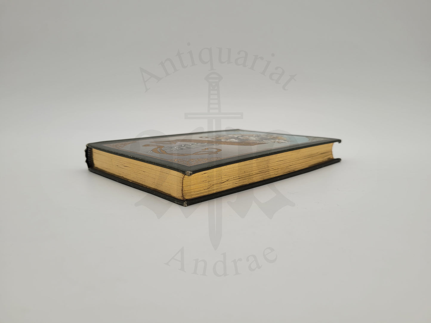 Gott schütze dich (Gedichtband)