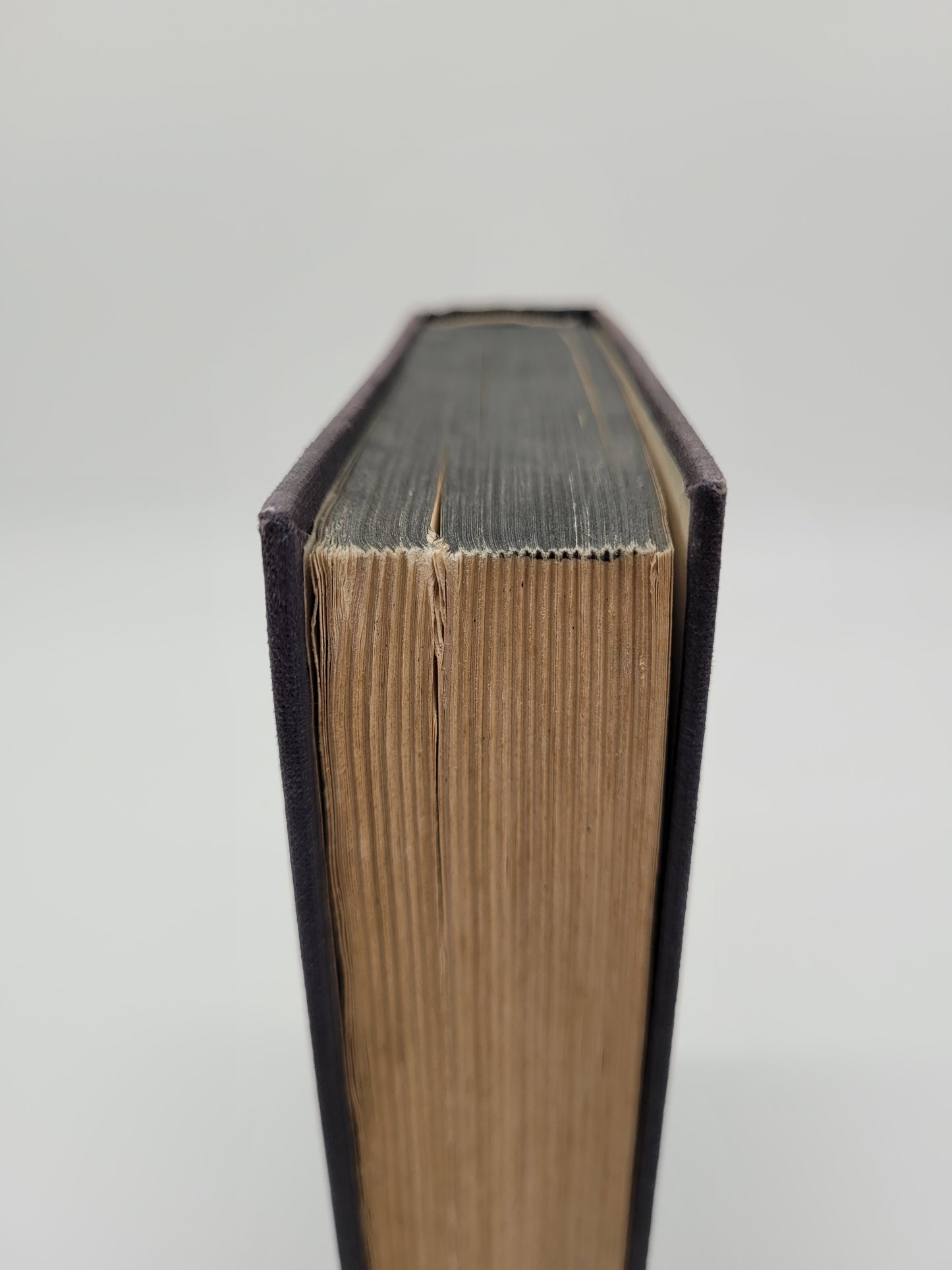 Der Mythus des 20. Jahrhunderts (Antisemitisch)