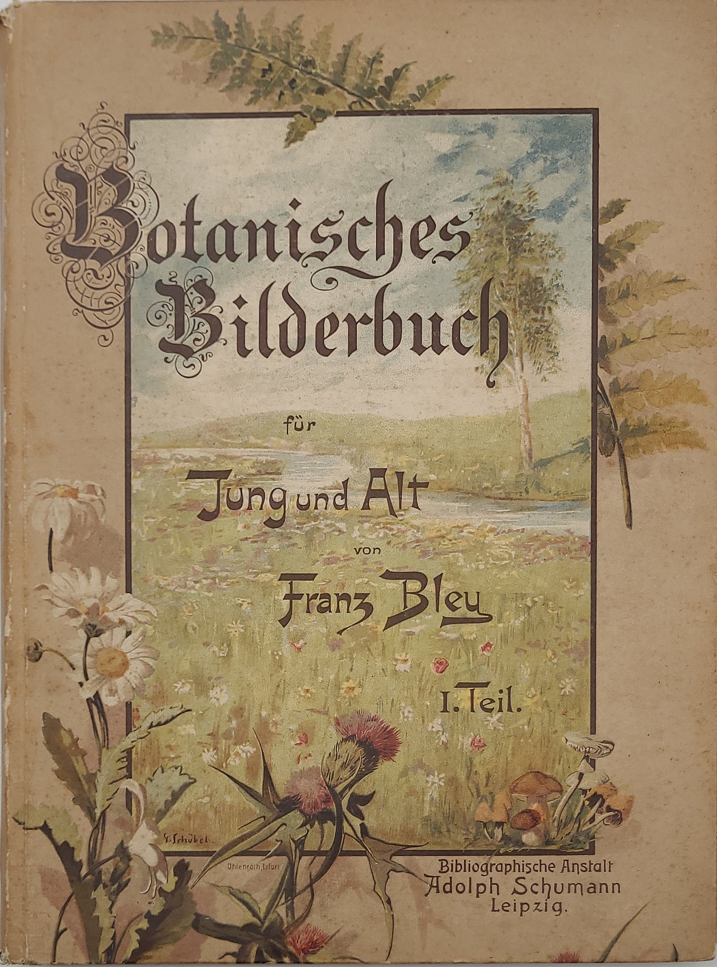 Botanisches Bilderbuch