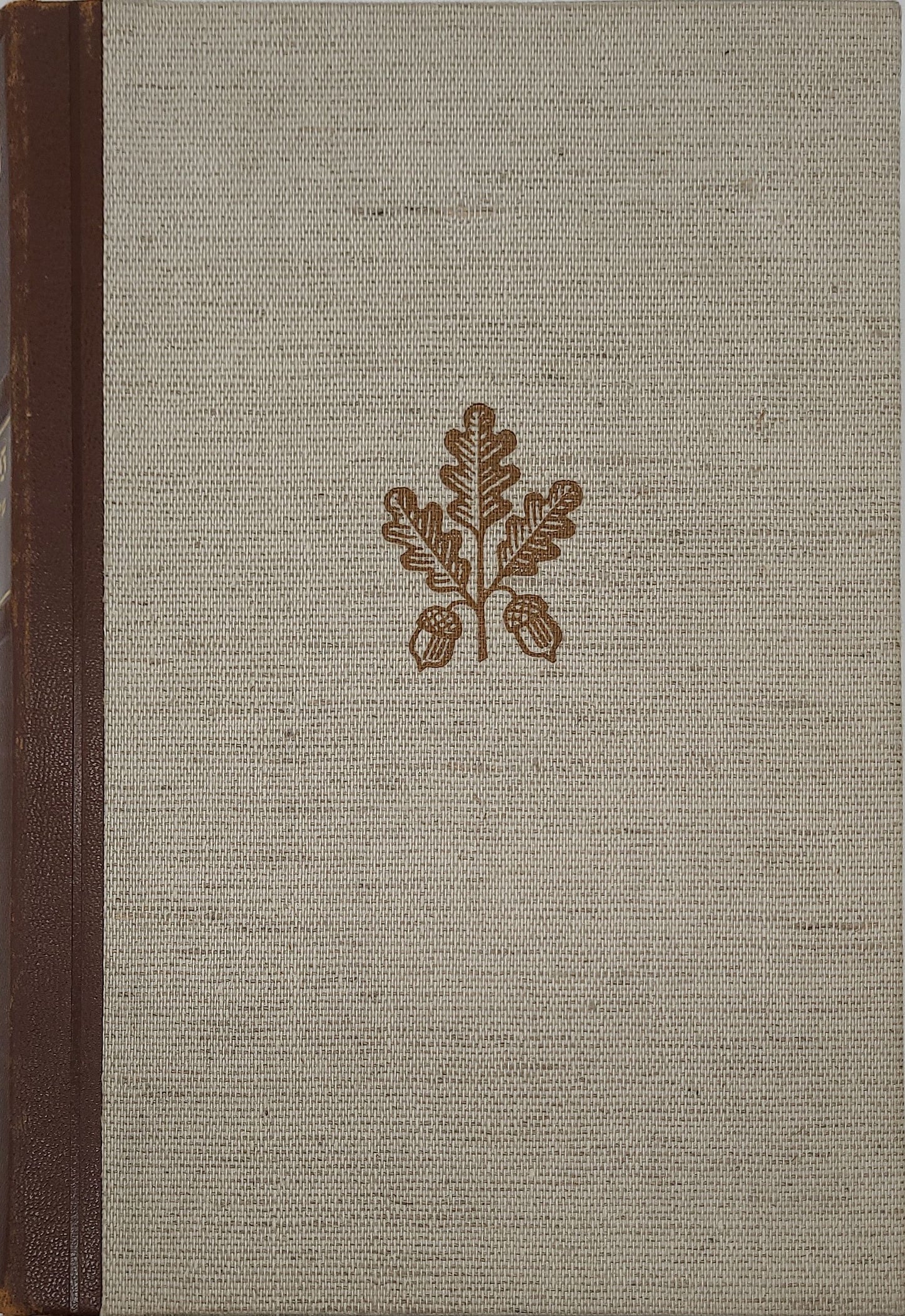 Der Mythus des 20. Jahrhunderts (Geschenkausgabe) (Antisemitisch)