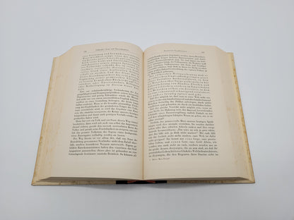 Mein Kampf Hochzeitsausgabe Kaiserslautern (Druckschrift)