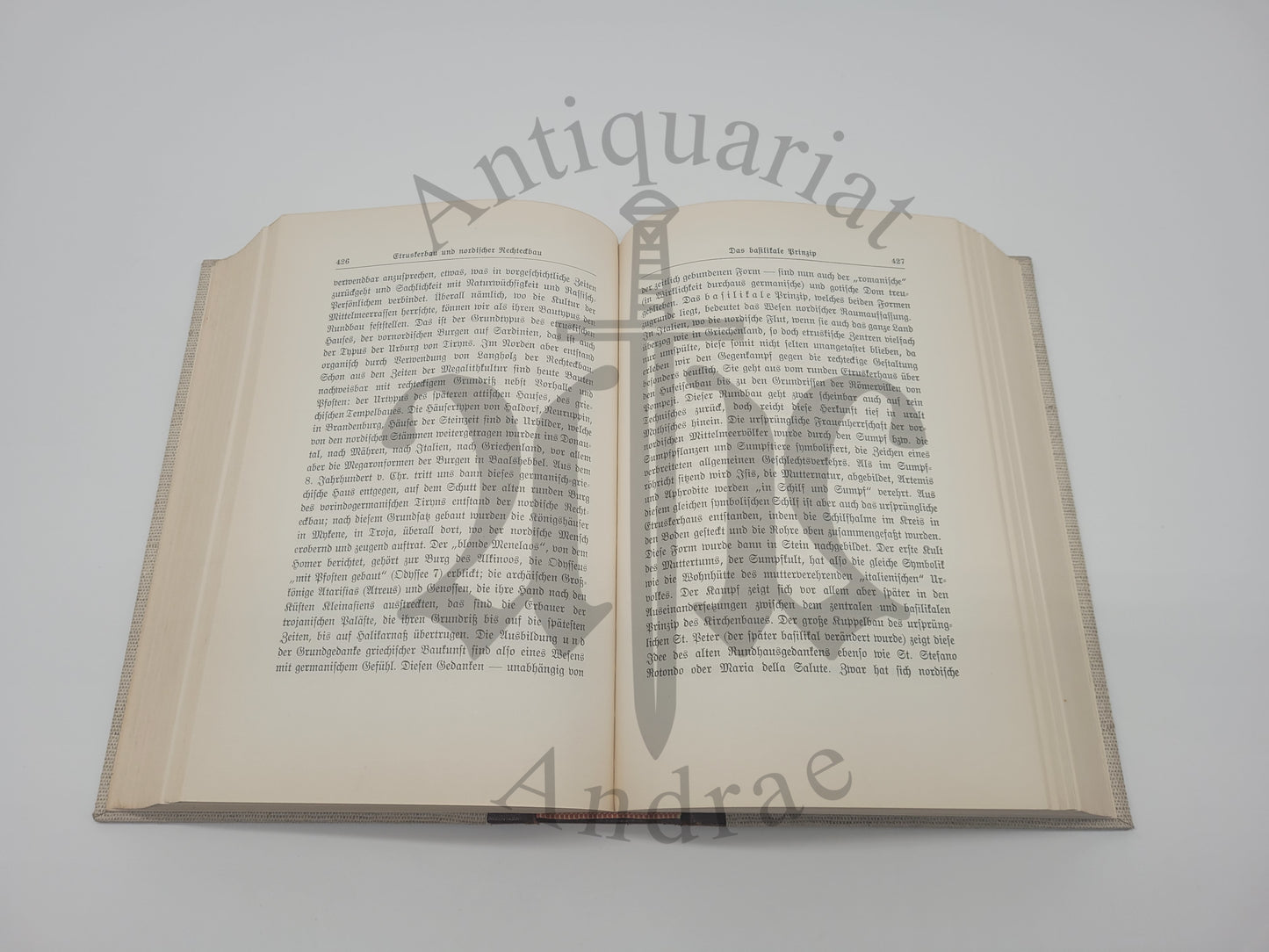 Der Mythus des 20. Jahrhunderts (Geschenkausgabe) (Antisemitisch)
