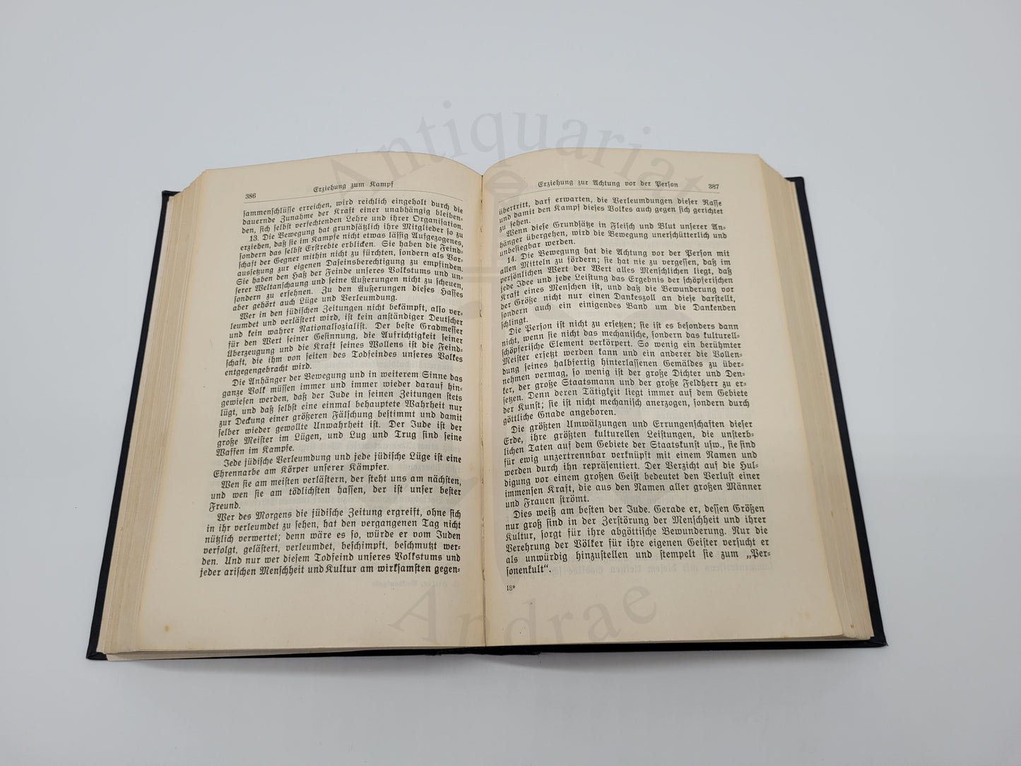 Mein Kampf (frühe) Volksausgabe 1930