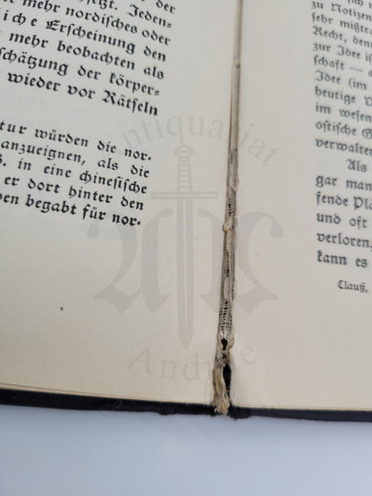 Die nordische Seele