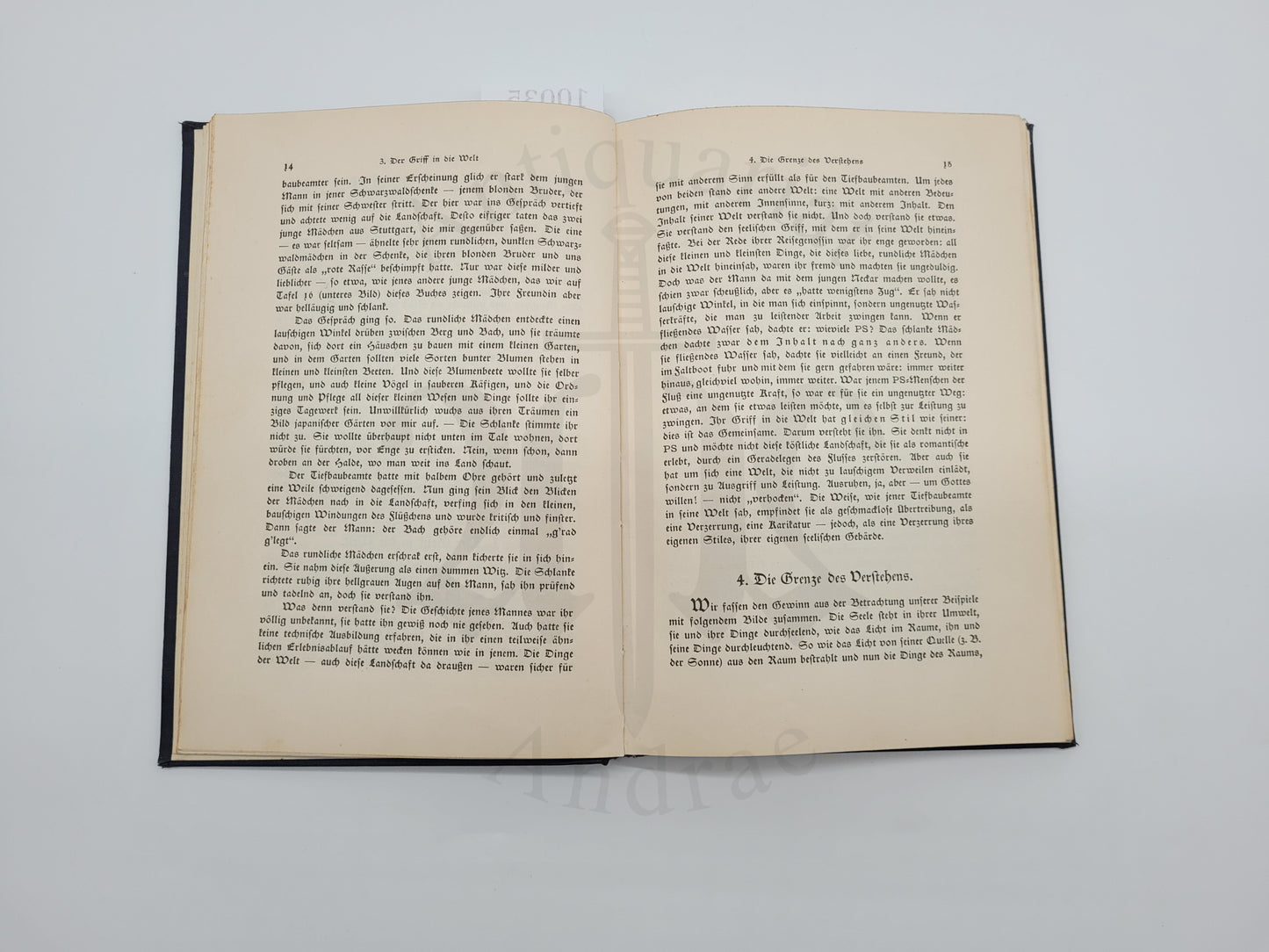 Die nordische Seele