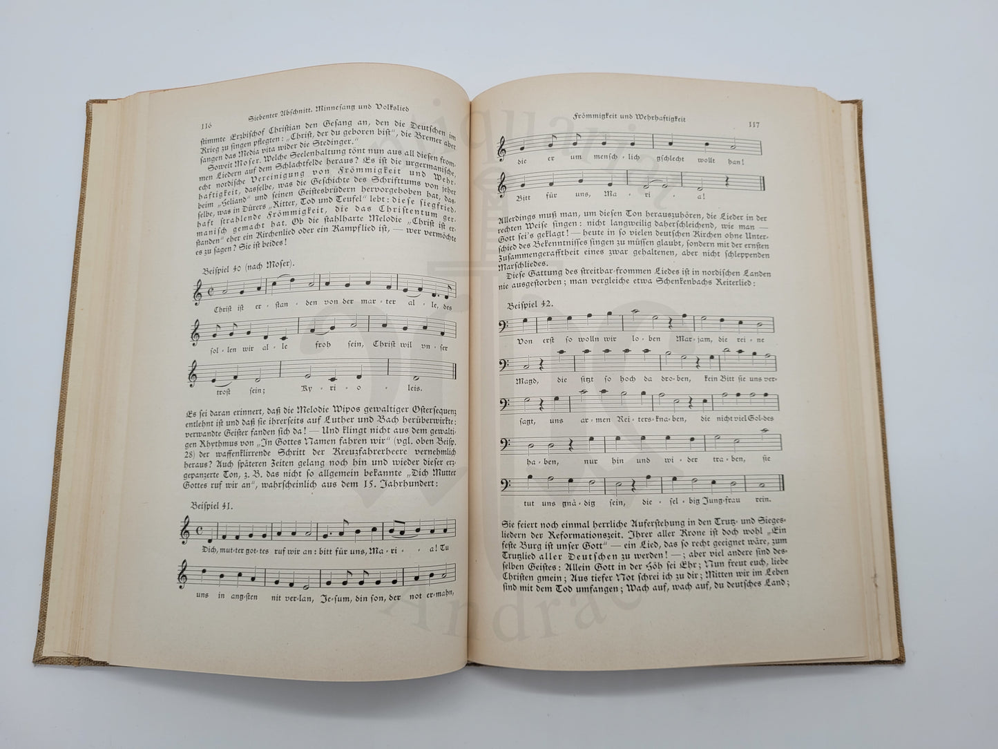Musik und Rasse
