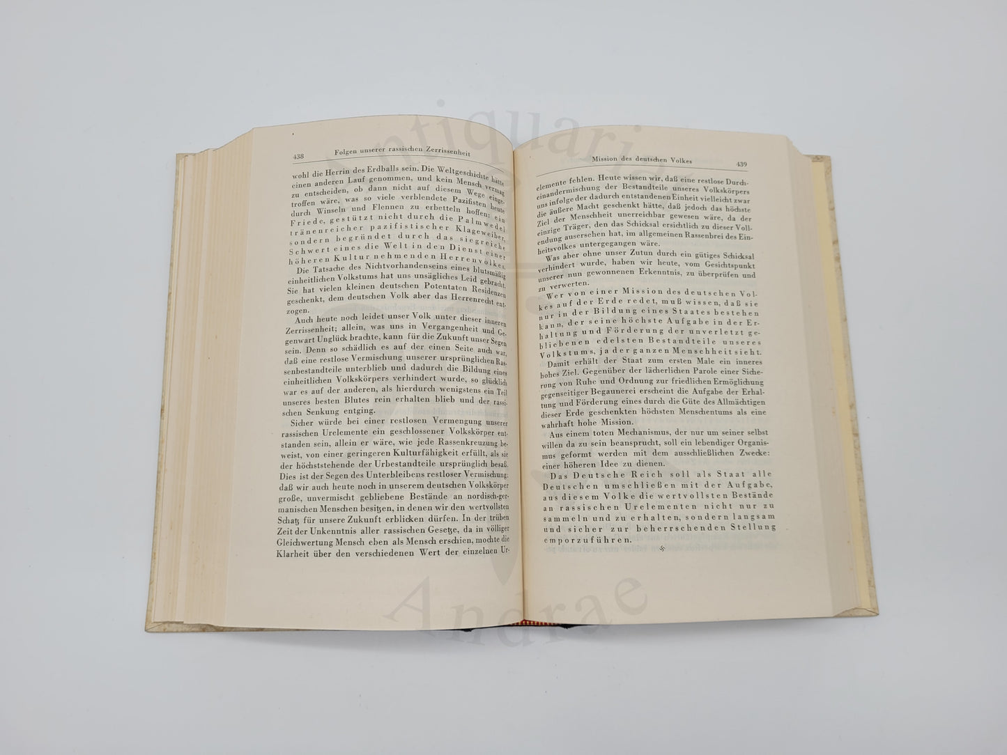 Mein Kampf Hochzeitsausgabe (Druckschrift) +  Verleihungsbild (SS Mann)