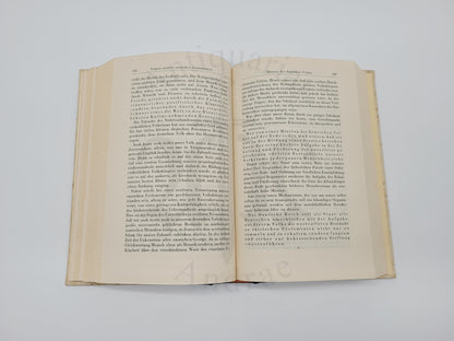 Mein Kampf Hochzeitsausgabe (Druckschrift) +  Verleihungsbild (SS Mann)