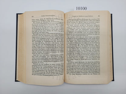 Mein Kampf Volksausgabe 1942 (Druckschrift)