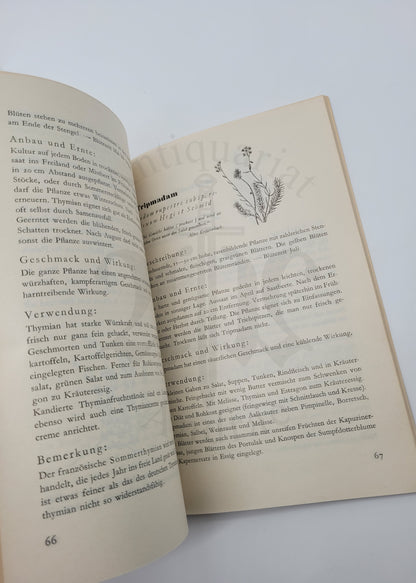 Deutsche Gewürze (letze Auflage)