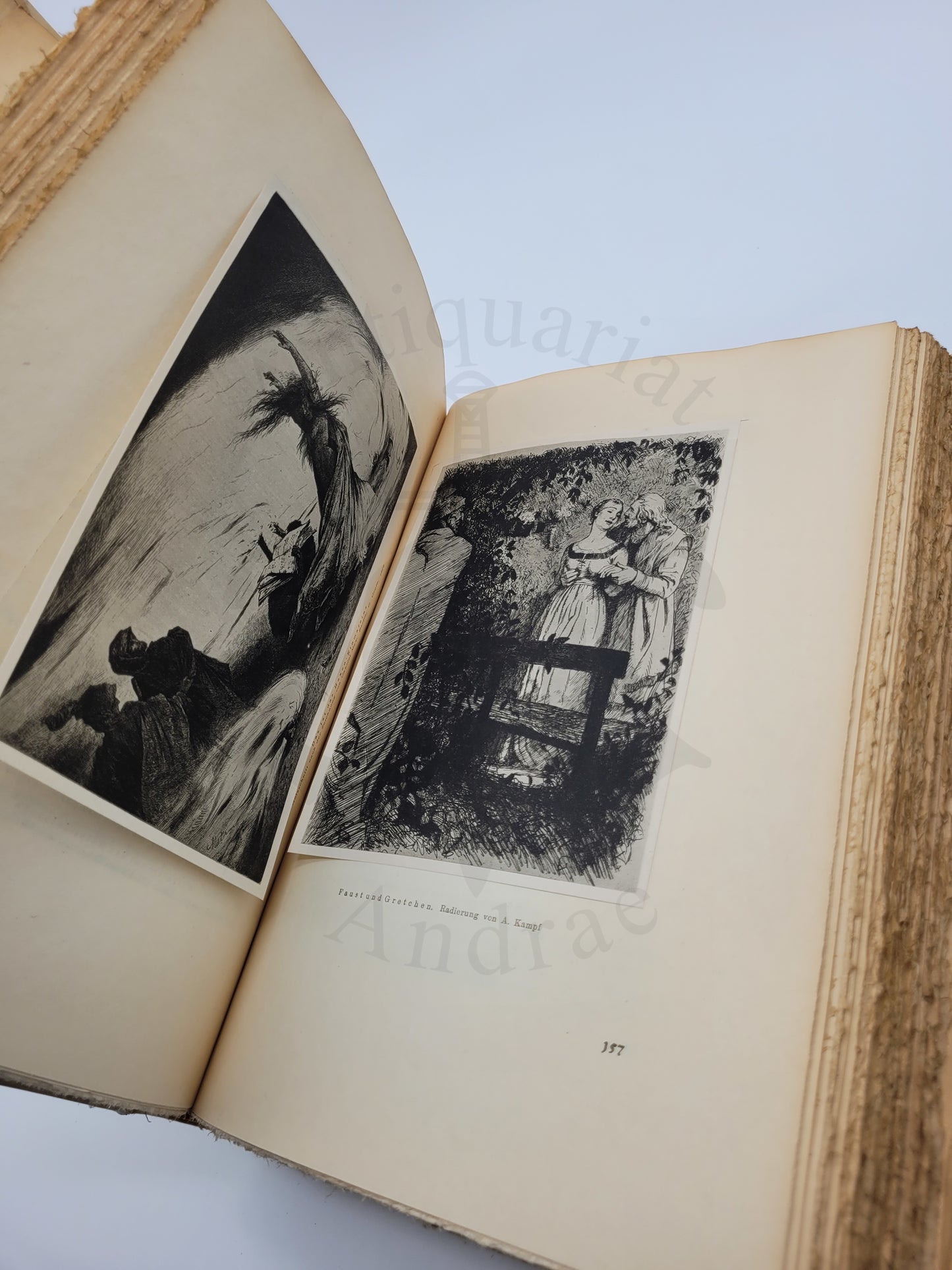Faust (Ganzpergament Hundertjahrs Ausgabe)
