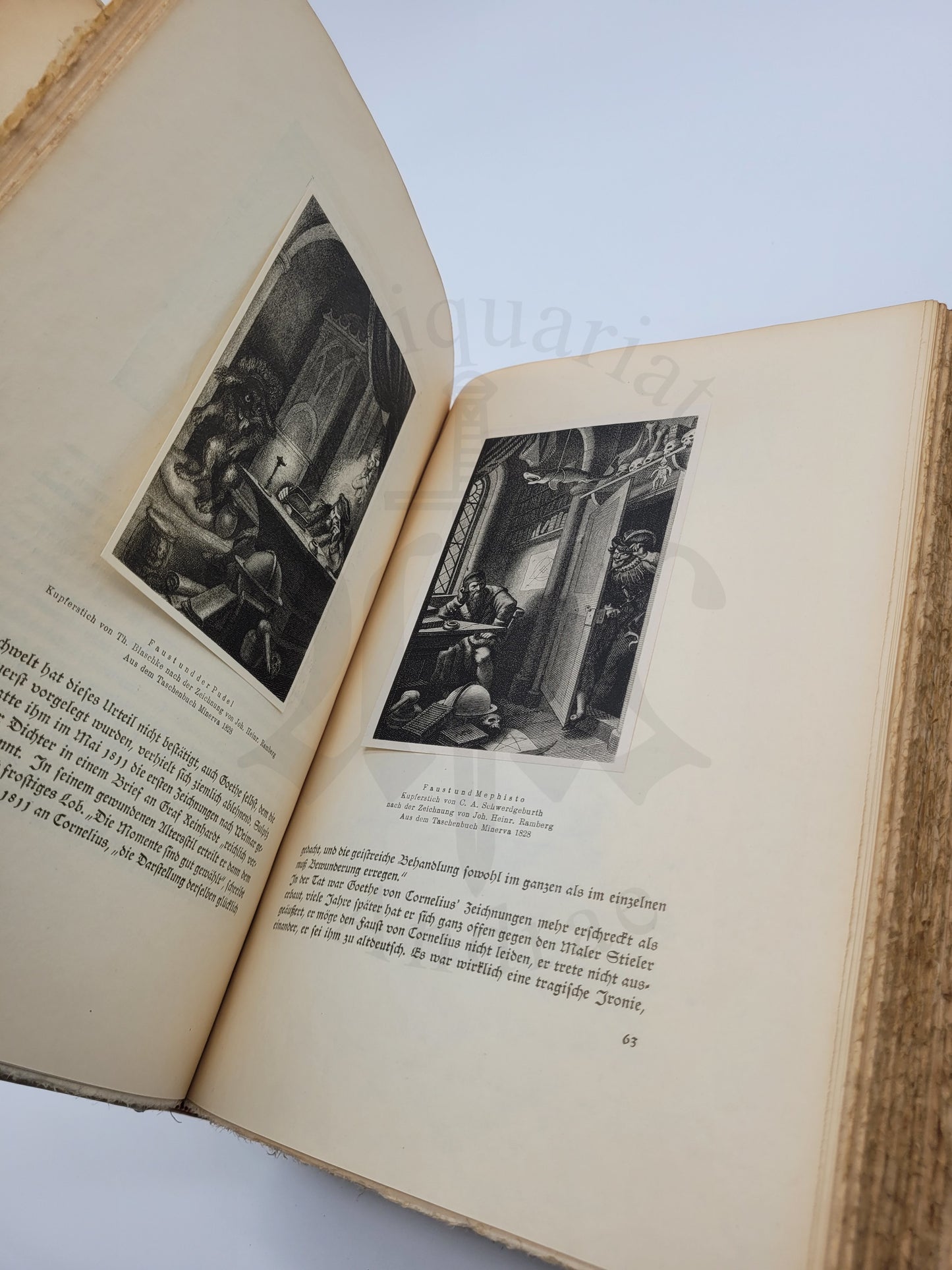 Faust (Ganzpergament Hundertjahrs Ausgabe)