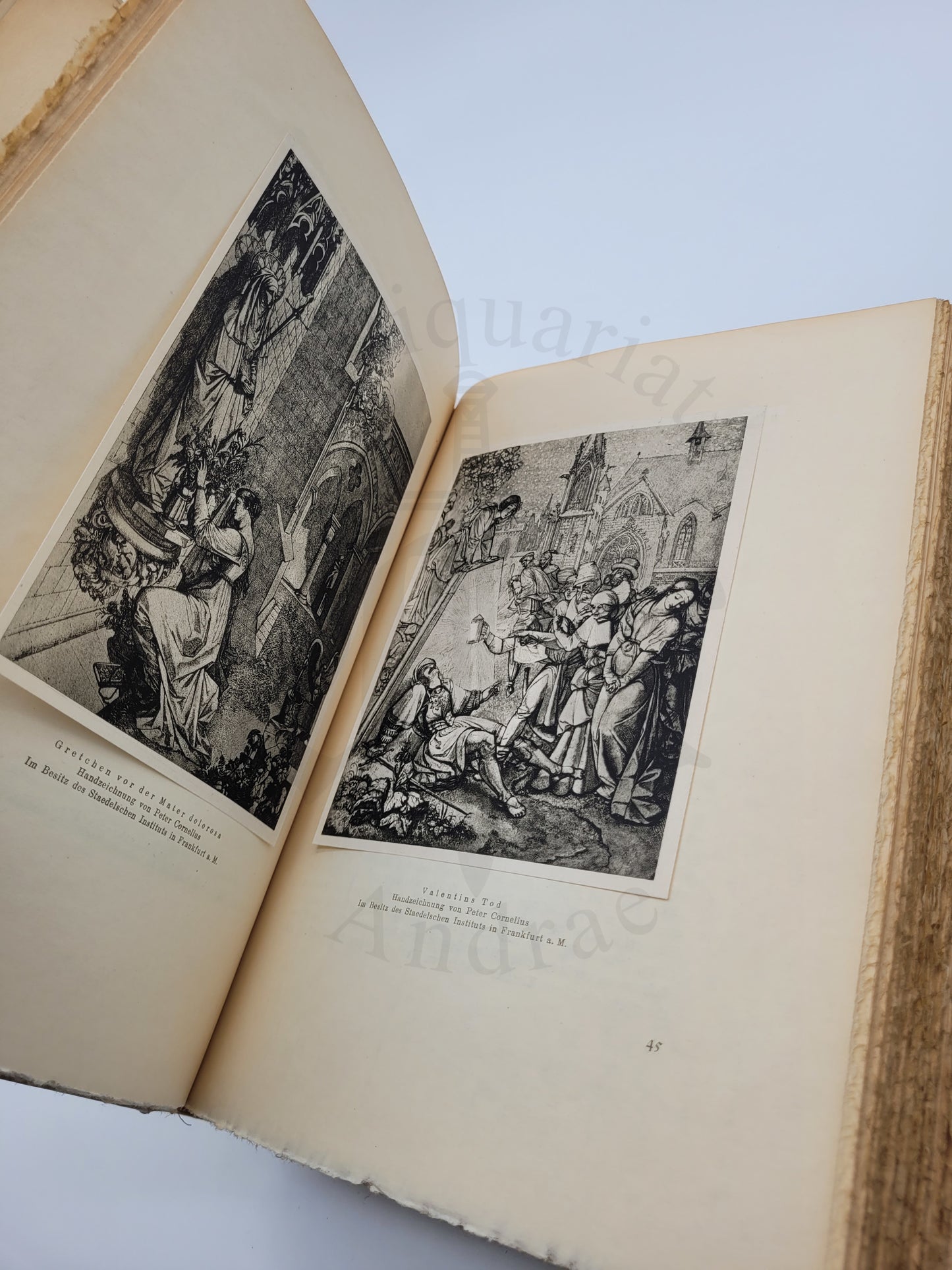 Faust (Ganzpergament Hundertjahrs Ausgabe)
