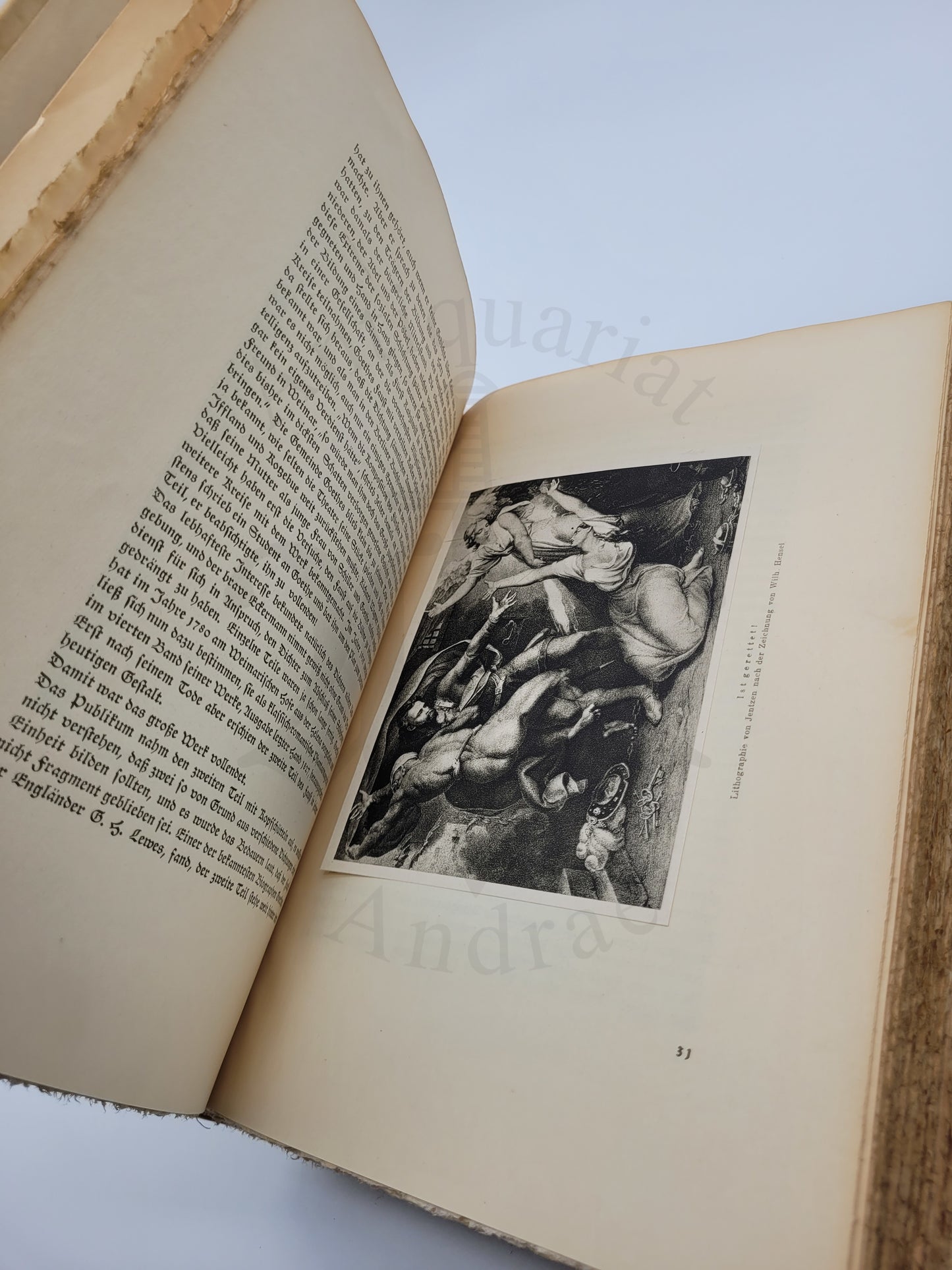 Faust (Ganzpergament Hundertjahrs Ausgabe)