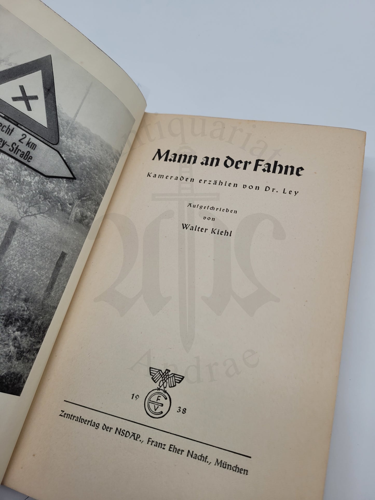 Mann an der Fahne (Robert Ley)