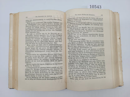 Mein Kampf Volksausgabe 1933 (Orig. Schutzumschlag) (Mint)