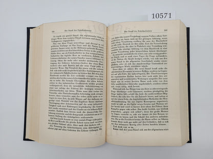 Mein Kampf Volksausgabe 1942 (Druckschrift)