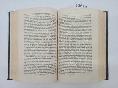 Mein Kampf Antiqua-Ausgabe (Volksausgabe) 1939 (Druckschrift) (Extrem Selten)