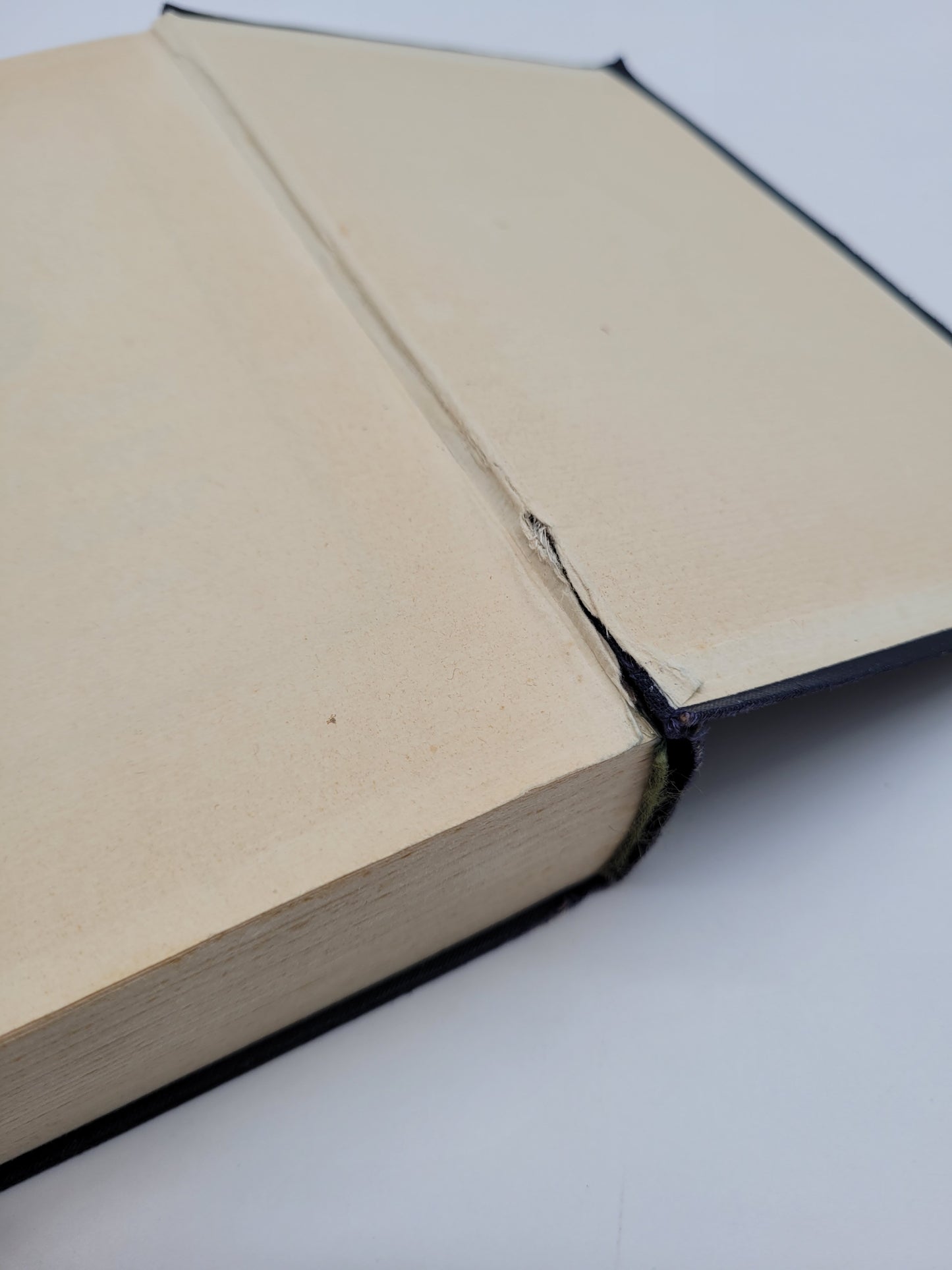 Mein Kampf Volksausgabe 1940 (Sonderausgabe)