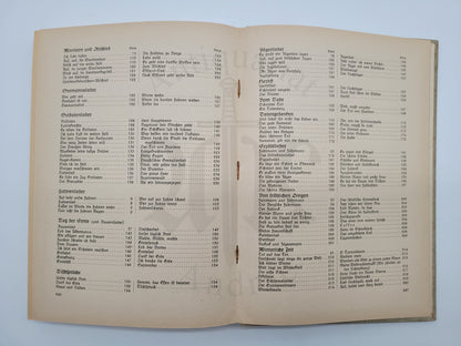 Das klingende Jahr (Liederbuch+Noten)
