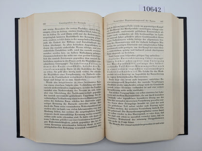 Mein Kampf Volksausgabe 1941 (Druckschrift)
