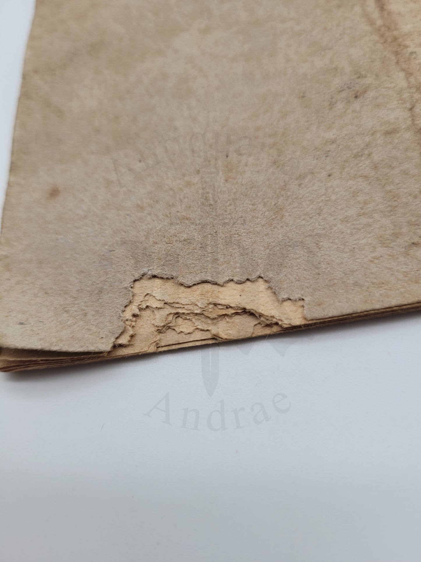 ABC für den SA Mann (Selten)