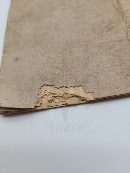 ABC für den SA Mann (Selten)