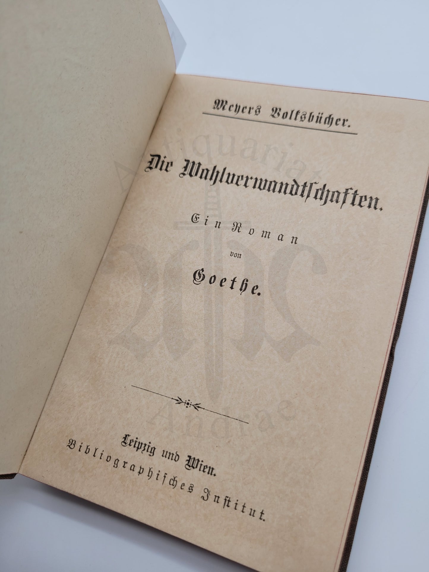 Die Wahlverwandtschaften (Klassiker)