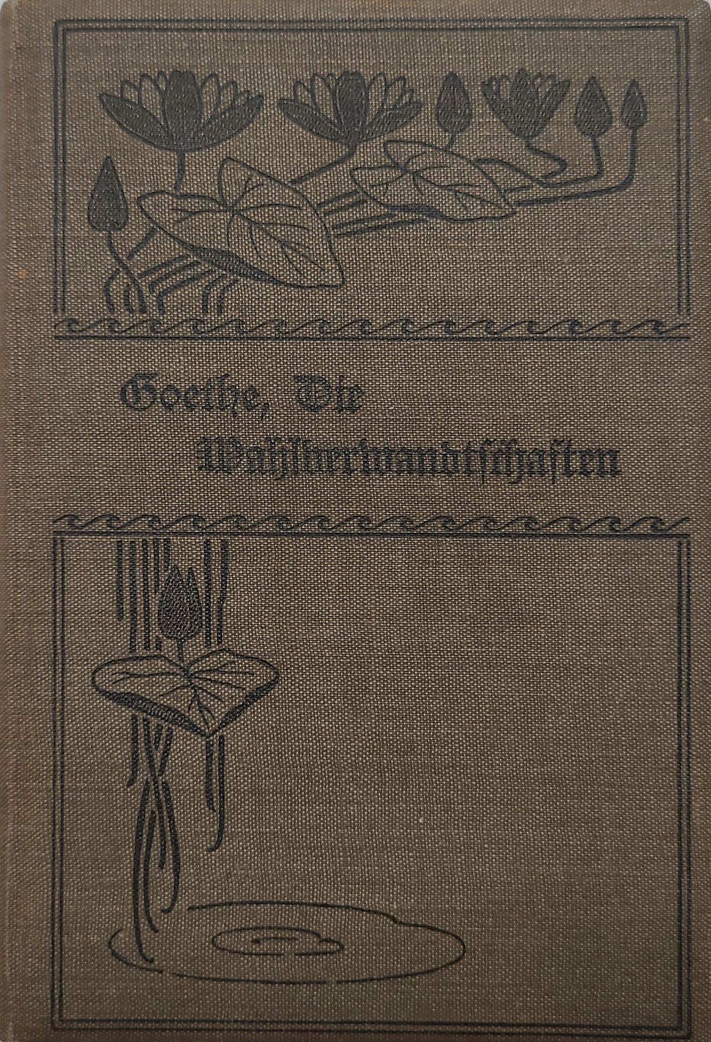 Die Wahlverwandtschaften (Klassiker)