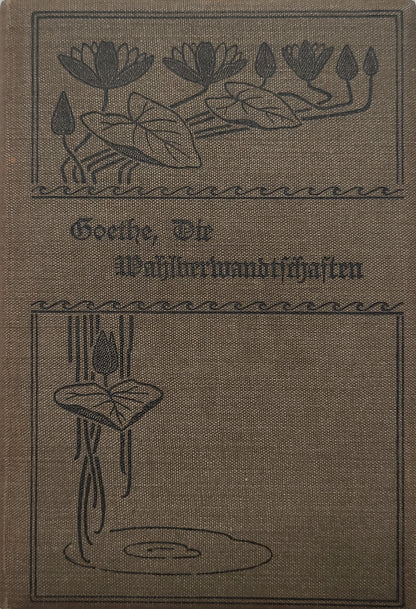 Die Wahlverwandtschaften (Klassiker)