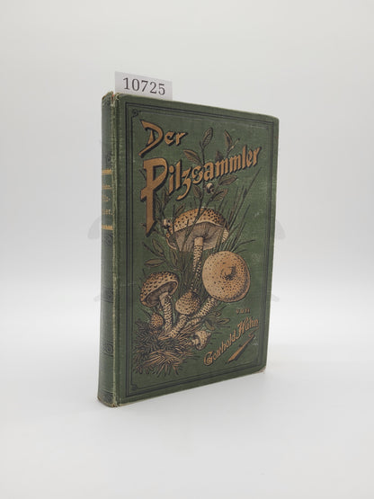 Der Pilzsammler (selten)