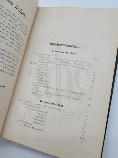 Der Pilzsammler (selten)