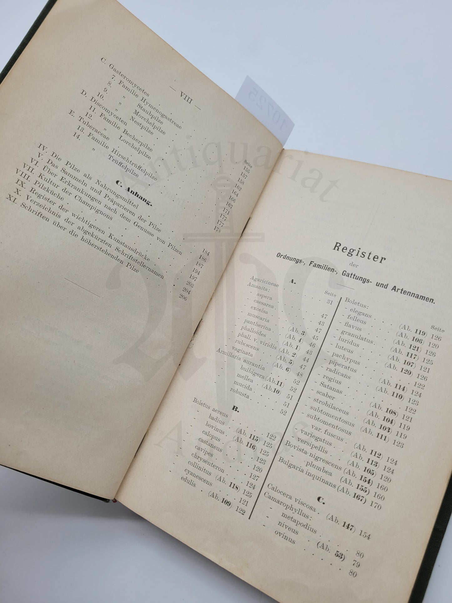 Der Pilzsammler (selten)