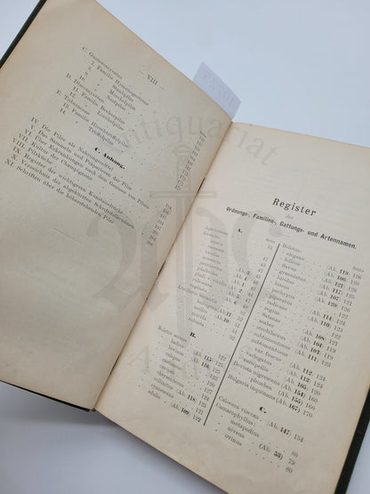 Der Pilzsammler (selten)