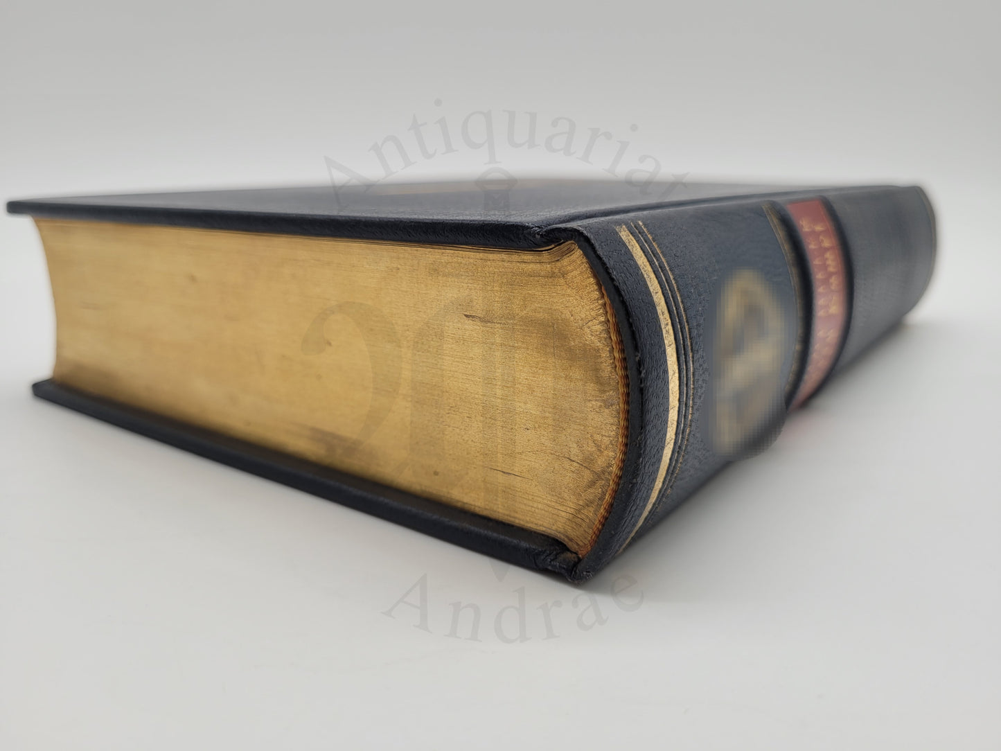 Mein Kampf - Jubiläumsausgabe (mit Schuber)