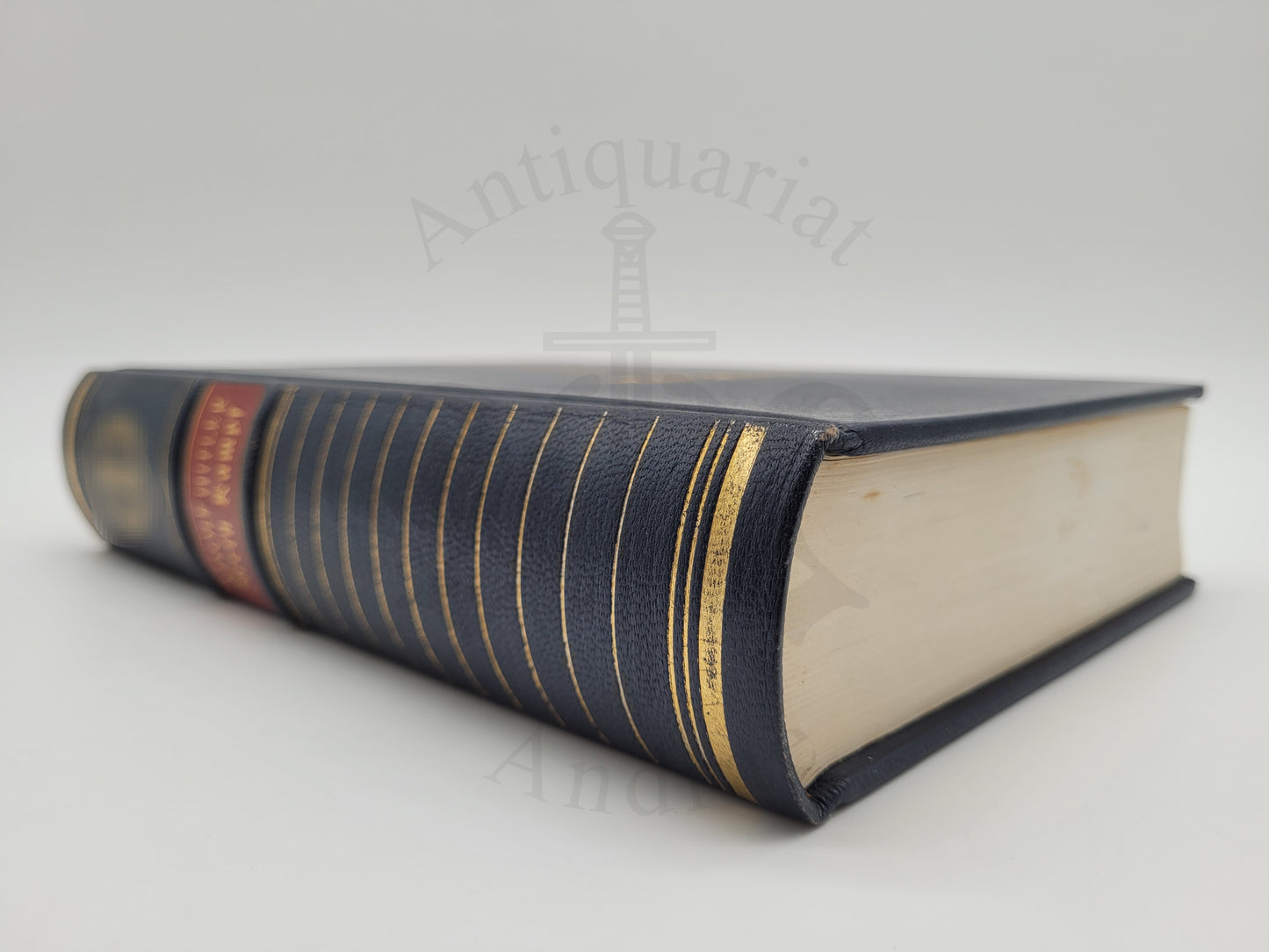 Mein Kampf - Jubiläumsausgabe (mit Schuber)