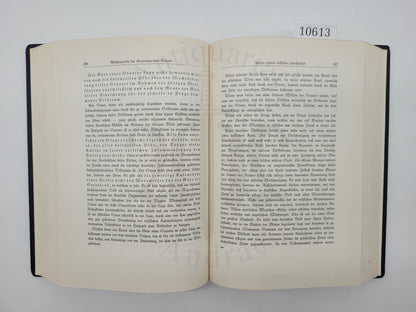 Mein Kampf - Jubiläumsausgabe (mit Schuber)